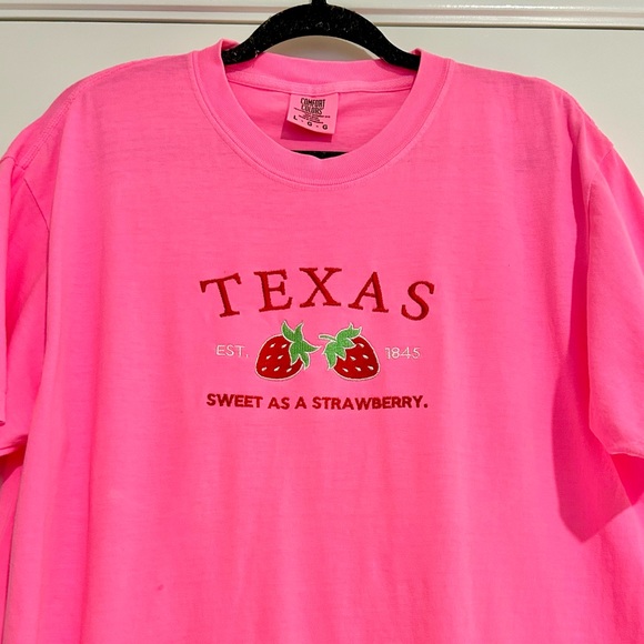 strawberry texas tee / embroidered Texas shirt / strawberry Texas tshirt - Picture 1 of 3